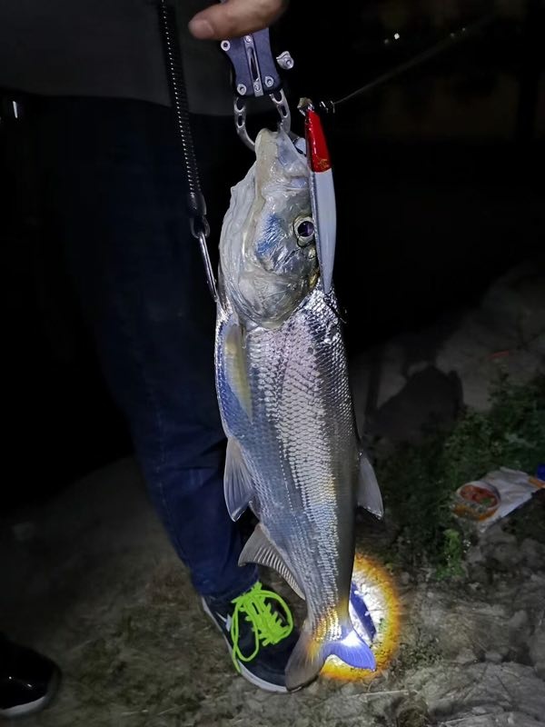 求萧山附近路亚野钓标点,翘嘴鲈鱼黑鱼鳜鱼马口都行,最