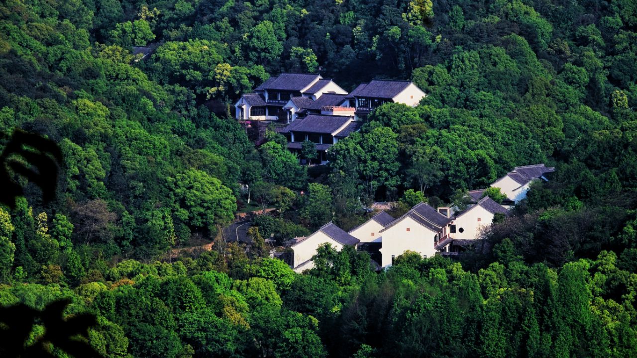 西山游步道远望湘湖春色,美不胜收