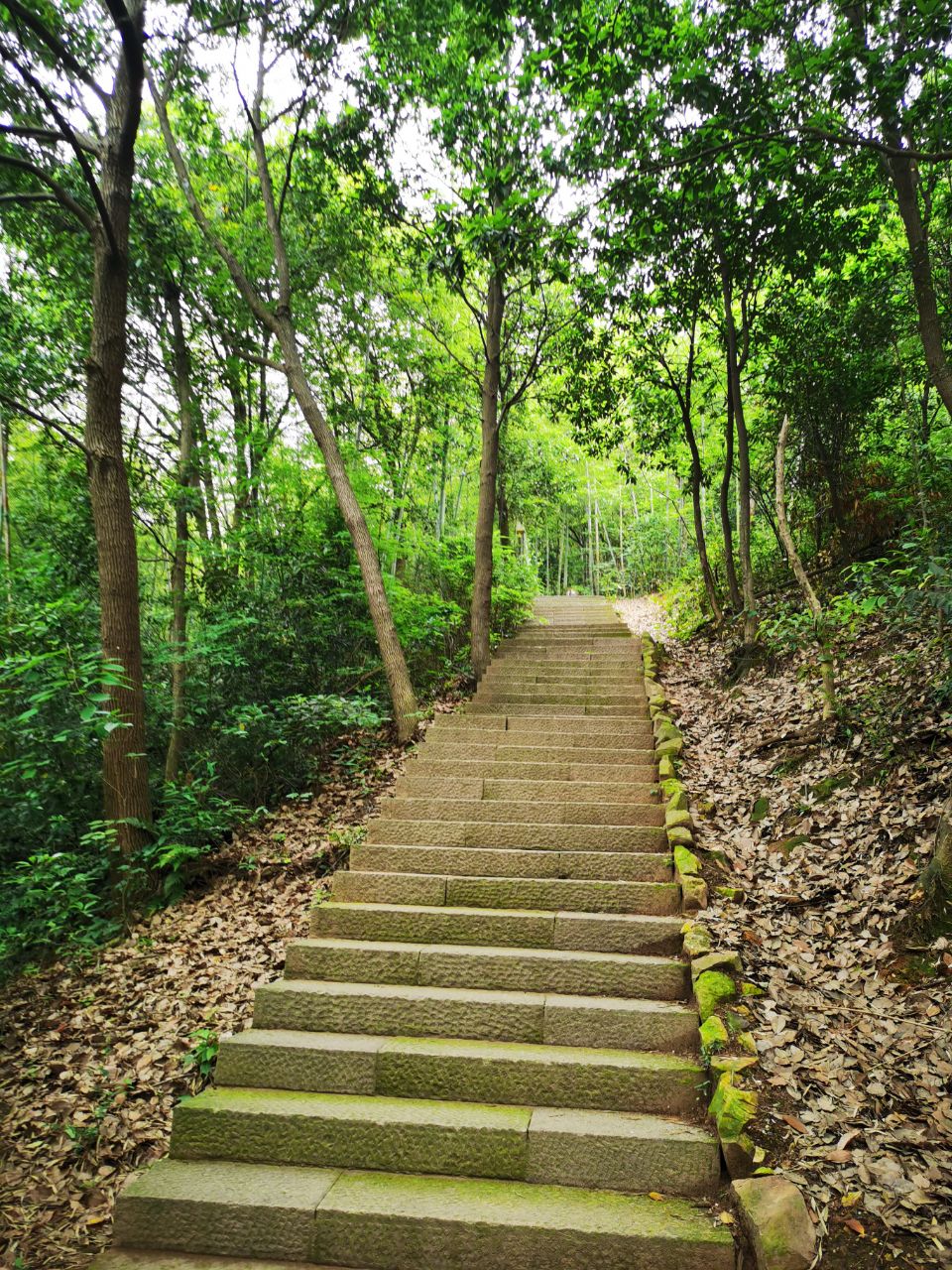 湘湖西山游步道