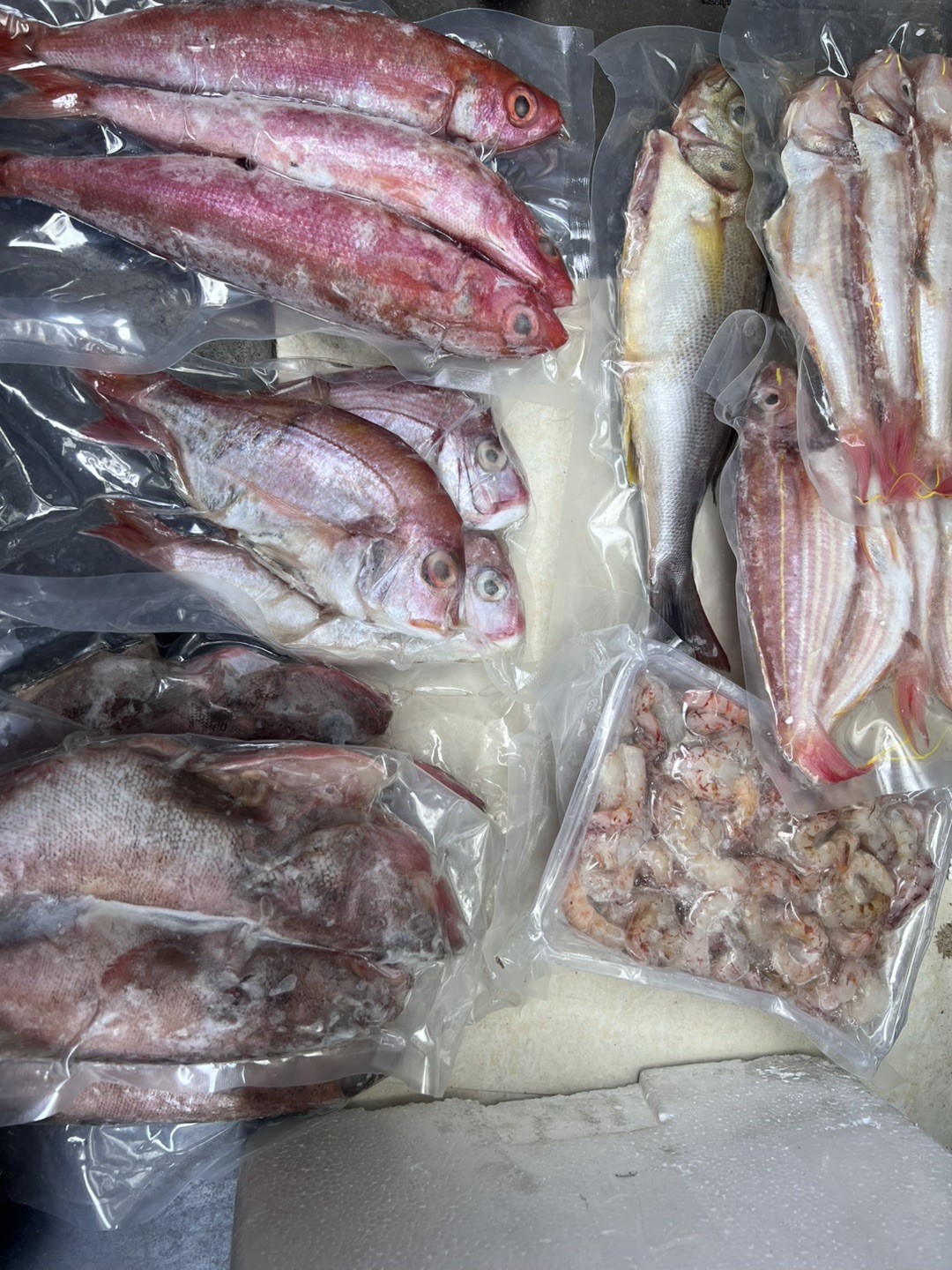 来自半糖主义～的萧内圈